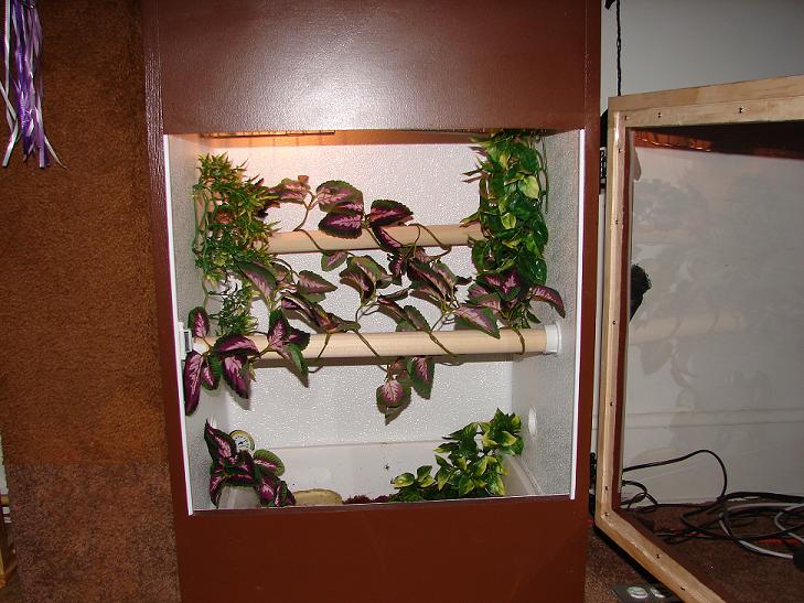 crested gecko cage