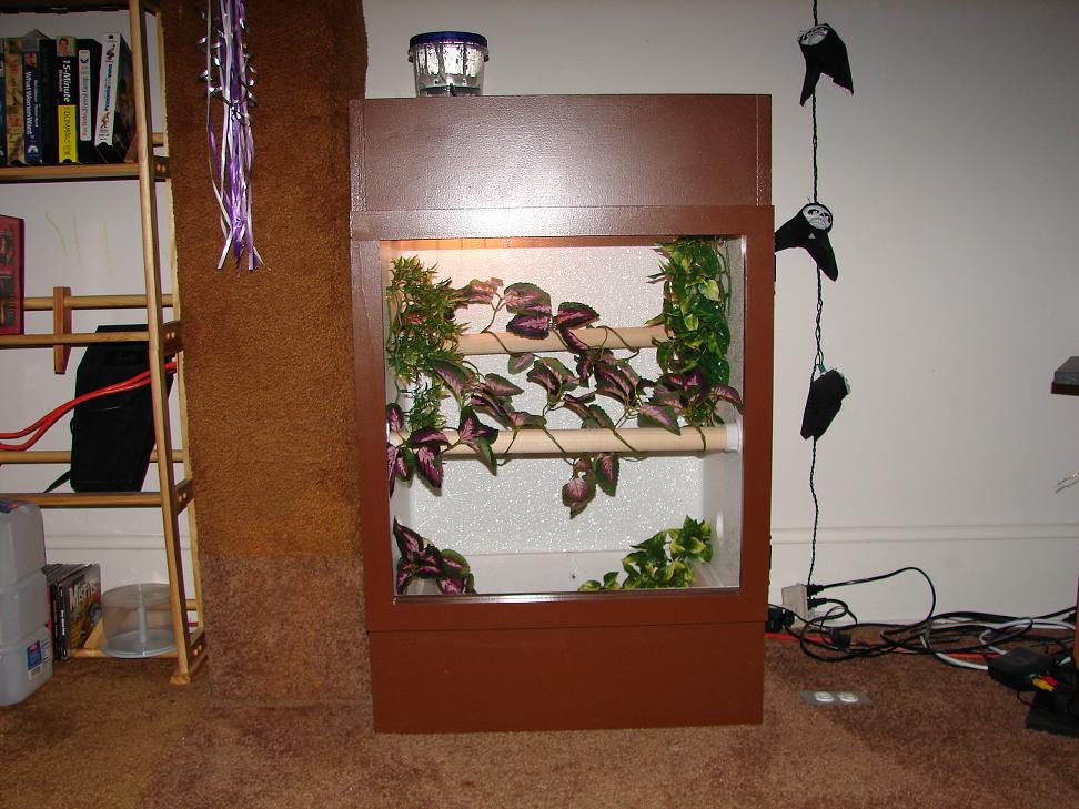 new cage for crested gecko