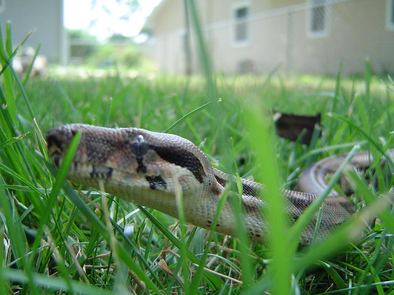 Sid outside