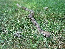 Sid outside 2