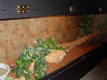 bottom tank