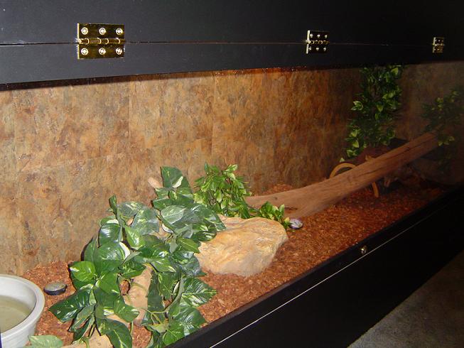 bottom tank