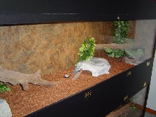 top tank