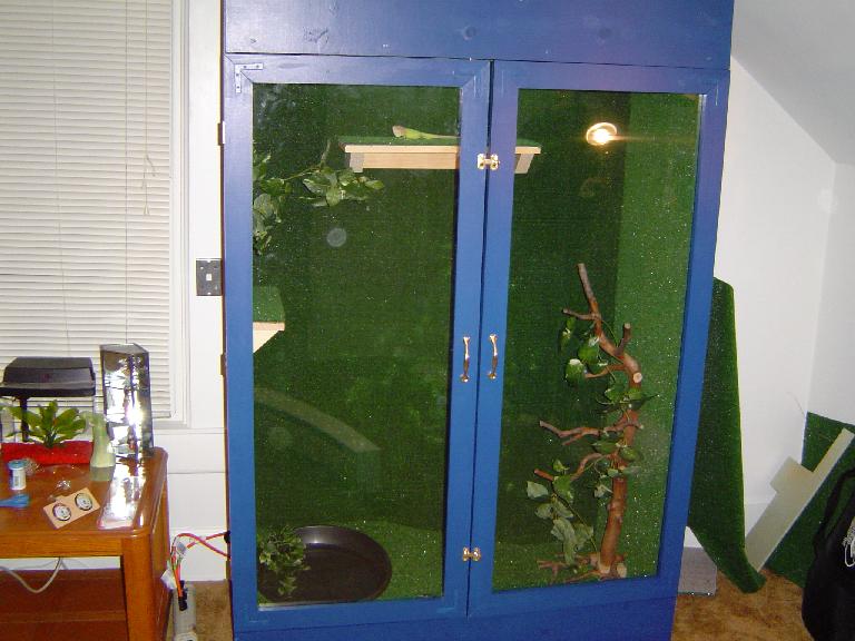 Tank that i built for girlfriends iguana
