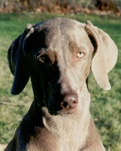 Sterling