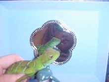 Savvarri loungin'