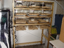 New rack ( Full size Cambro pans )