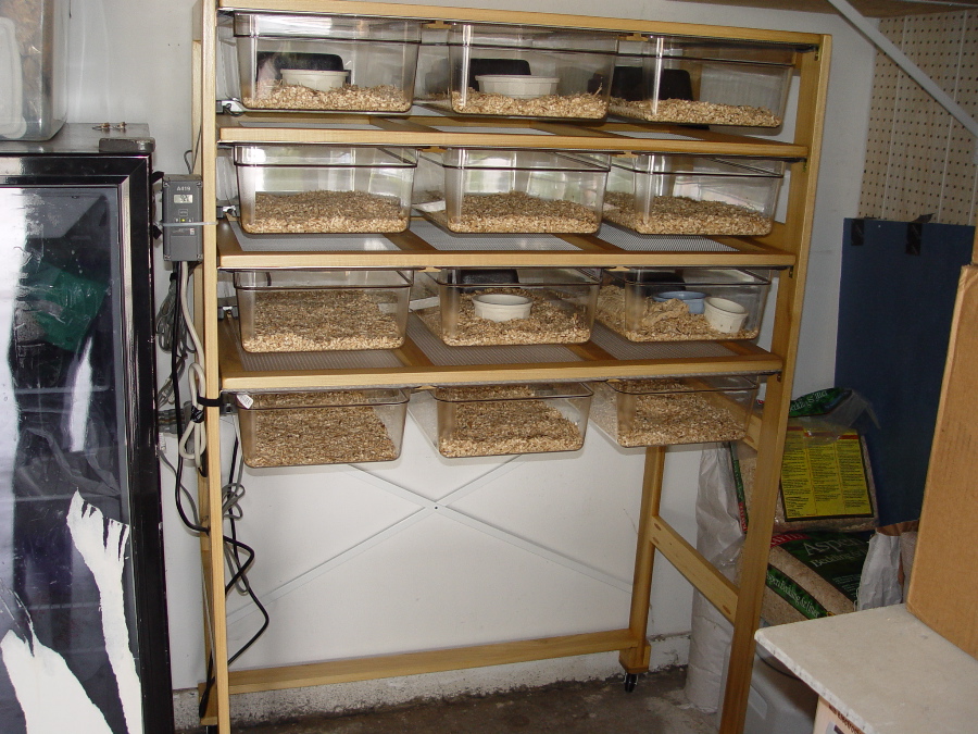 New rack ( Full size Cambro pans )