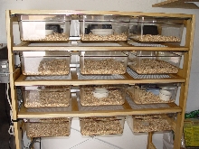 New rack ( Full size Cambro pans )