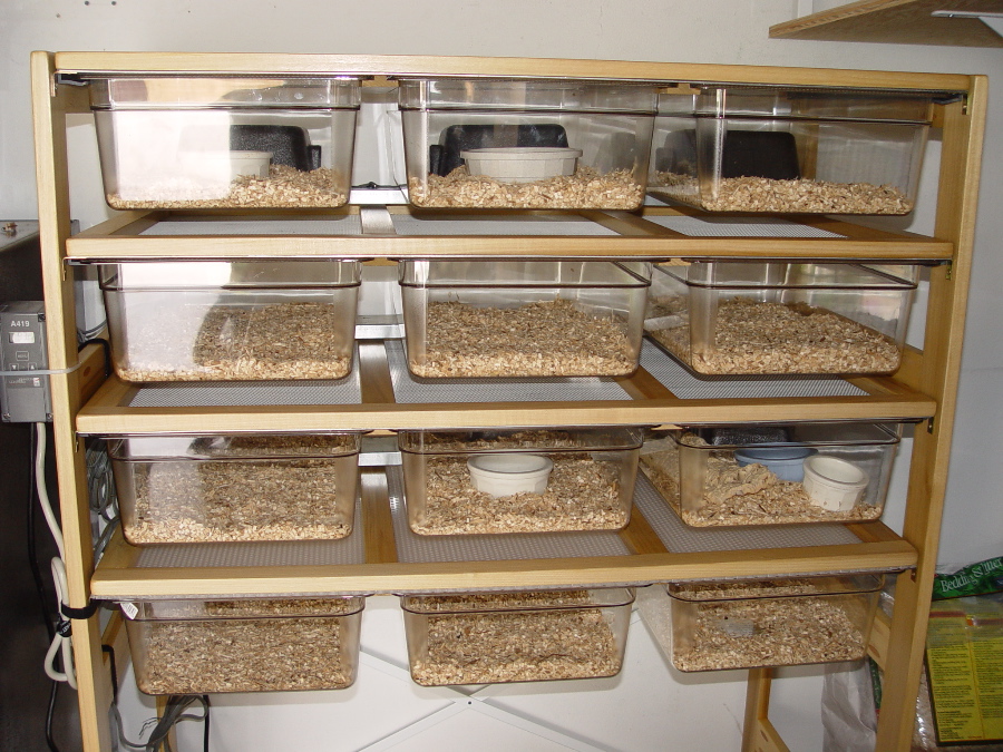 New rack ( Full size Cambro pans )