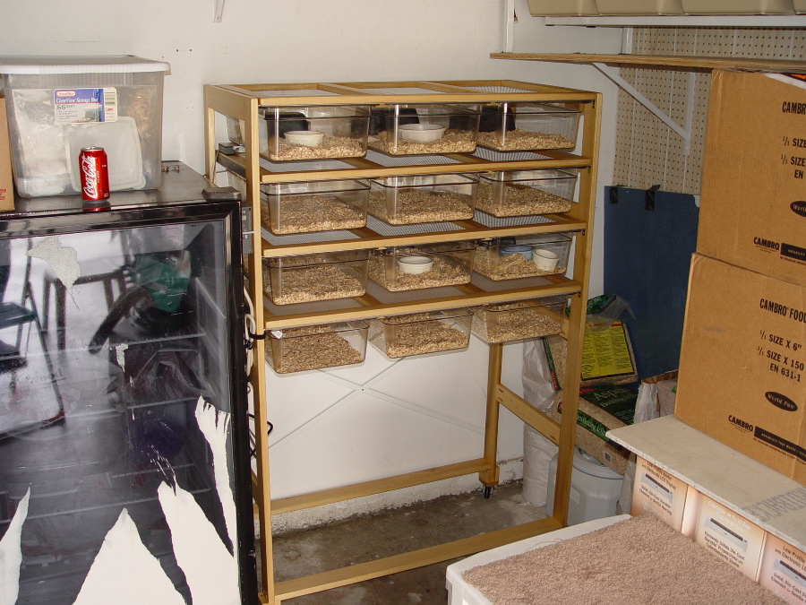 New rack ( Full size Cambro pans )