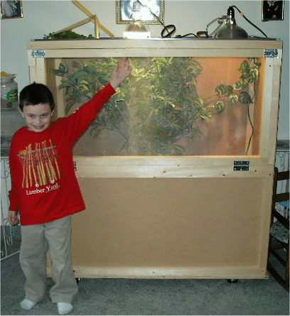 custom made chinese waterdragon cage