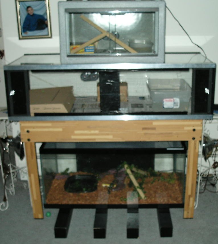 my first reptile set up for now