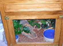 Newly built cage