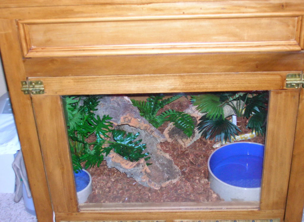 Newly built cage