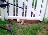 Don't fence me in