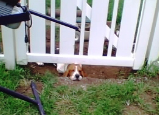 Don't fence me in