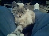 Gabby