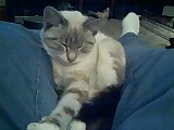 Gabby