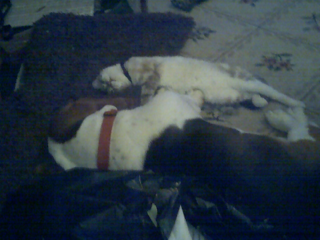 nap time x2