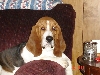 I'm handsome and I know it