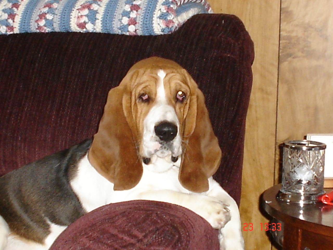 I'm handsome and I know it