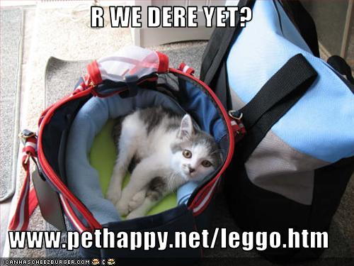 Leggo in his carrier