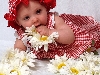 Please don't eat the daisies