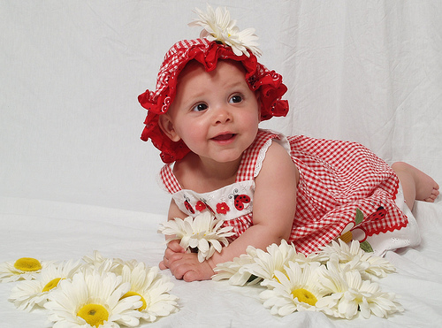 Daisy daisy