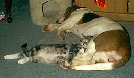 Minnie & Brewster