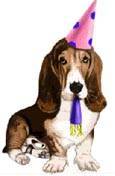 Basset Birthday