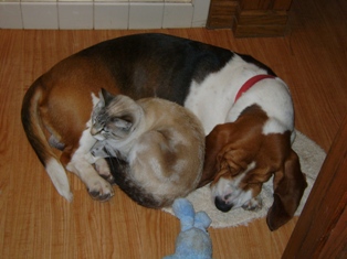 Snuggles w/ best friend