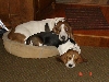 We Share