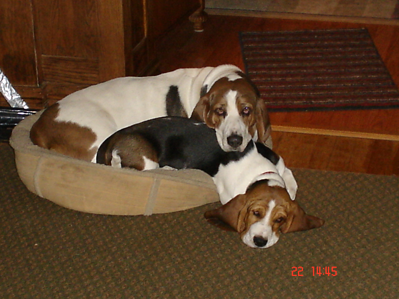 We Share