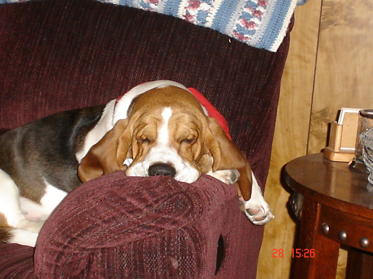 Tuckered out