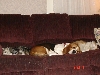 Sleepy Time