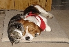Best Friends