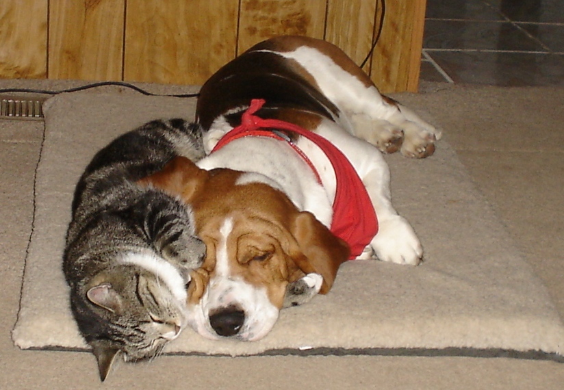 Best Friends