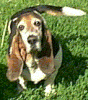 Garth - Rest In Peace - 1/7/2005