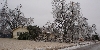 Ice Storm