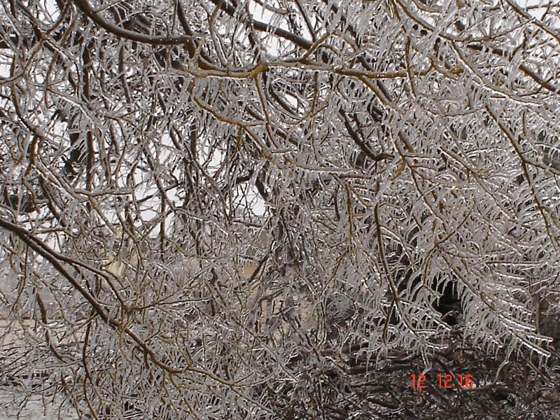 Lots of ice