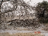 More damage