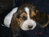 My new baby