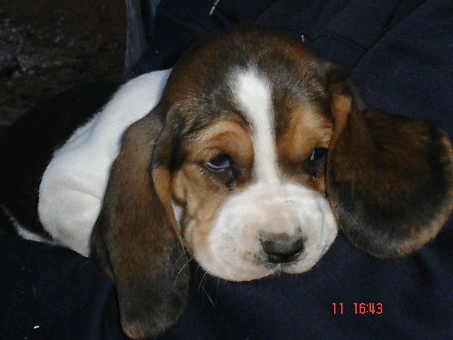 My new baby