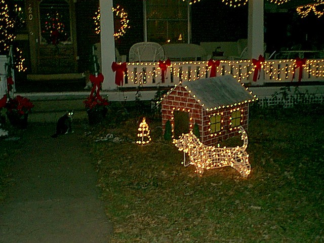 Doggone Good Christmas