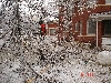 Yard damage