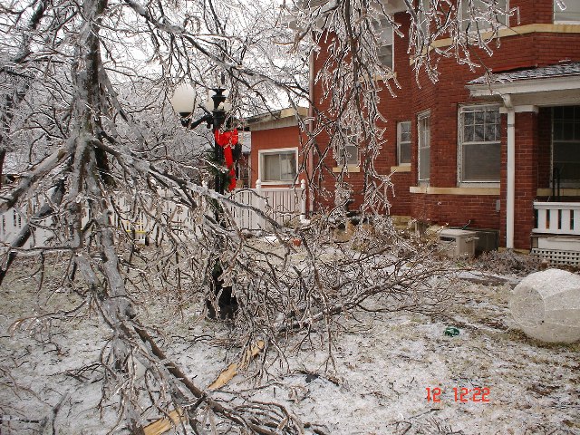 Yard damage