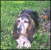 Another Buddy