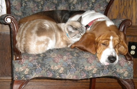 Best Friends