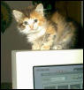 Tequila as a baby